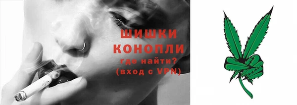 Альфа ПВП Верея