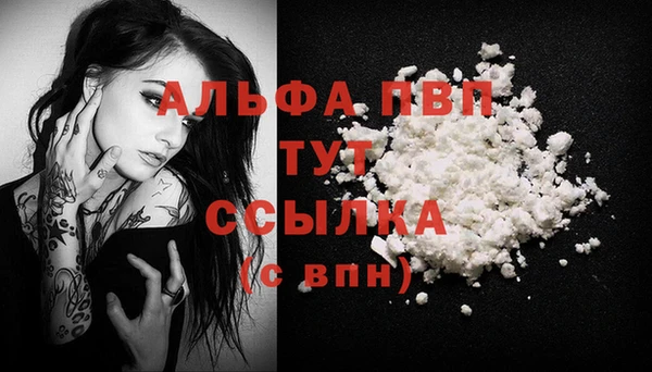 Альфа ПВП Верея