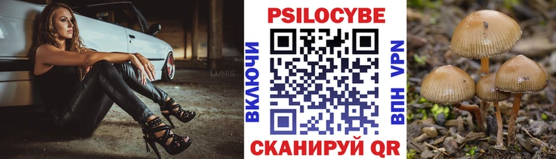 где купить наркоту  Новоржев  Галлюциногенные грибы мухоморы 